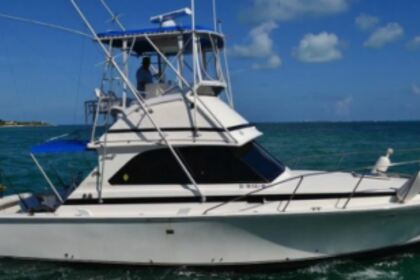 Alquiler Lancha Bertram 35MK II Cancún