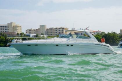 Verhuur Motorboot Sea Ray 540 Playa del Carmen
