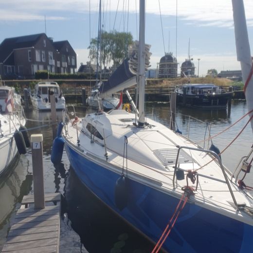 IJsselmeer Sailboat Elan Elan 340 alt tag text