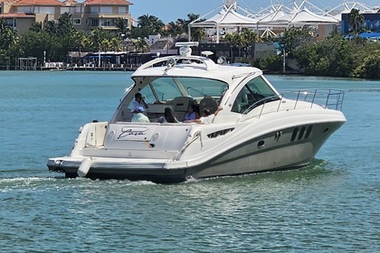 Charter Motorboat Sea Ray Sundacer 50 Cancún