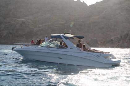 Hire Motorboat Sea Ray 290 Liscia di Vacca