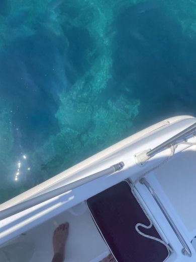 Тиват Motorboat SAVER Open 580 alt tag text