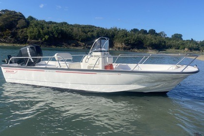 Hire Motorboat Boston-whaler Montauk 190 Saint-Malo