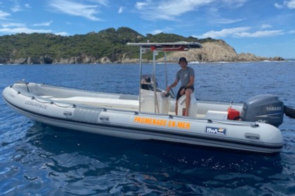 Charter Motorboat Bwa Custom Hyères