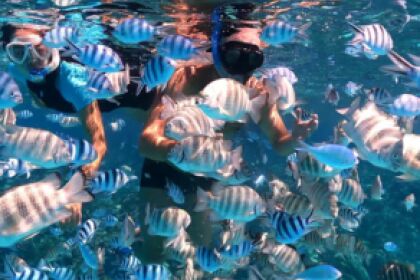 Location Voilier LANCER 36 Nouméa