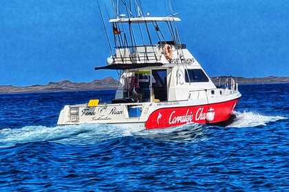 Rental Motorboat CATA 356 Fuerteventura