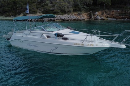 Rental Motorboat Sea Ray 250 Chania