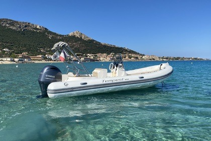Verhuur RIB Capelli tempest 650 Tempest 650 L'Île-Rousse