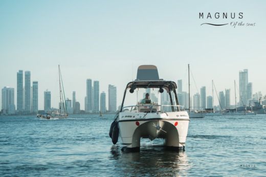 Motorboat YatchCat 2008/2015 Planimetria della barca