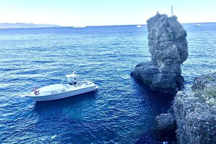 Noleggio Barca a motore Mochi Craft 31 Tours Portofino Area, Cinqueterre Santa Margherita Ligure