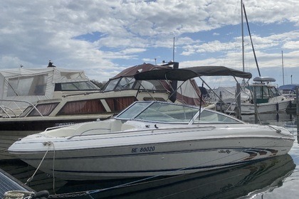 Charter Motorboat Sea Ray 190 Bow Rider Lake Biel