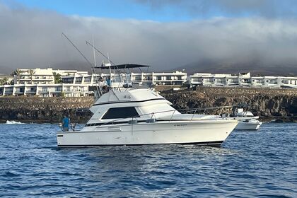 Rental Motorboat Bertram 37 Playa Blanca