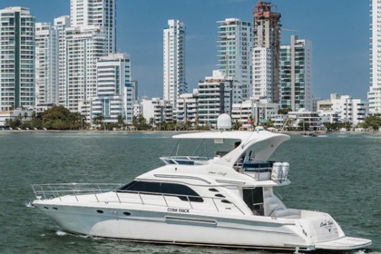 Miete Motoryacht Sea Ray Flybridge Cartagena