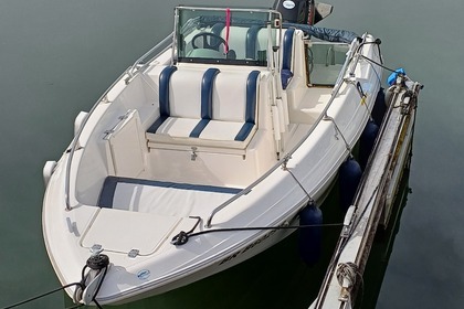 Hire Motorboat Quicksilver OPEN 500 Aix-les-Bains