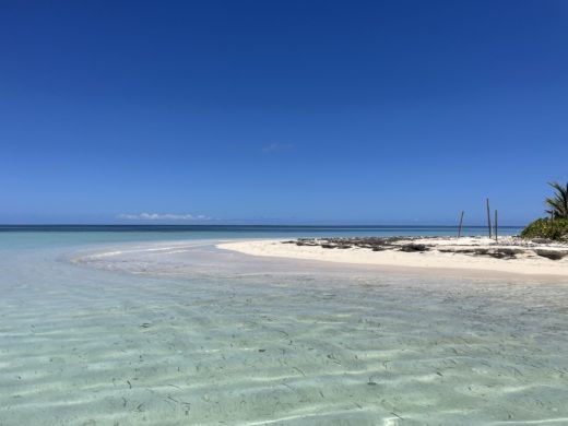 Le Gosier RIB BWA 28 GTO CORAIL BLEU alt tag text