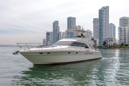 Hire Motor yacht Sea Ray Flybridge Cartagena