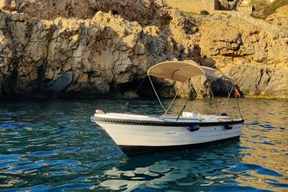 Rental Boat without license  Silver 495 Mallorca