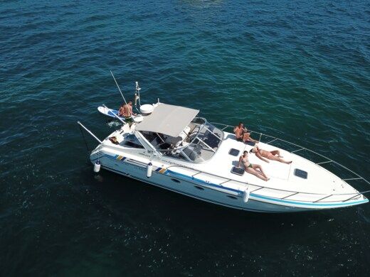 Motorboat Cranchi Cranchi Mediteranee 40 Plano del barco
