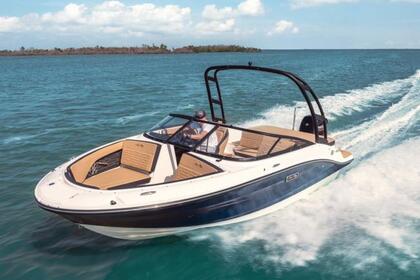 Hire Motorboat Sea Ray 190 Sport Le Grau-du-Roi
