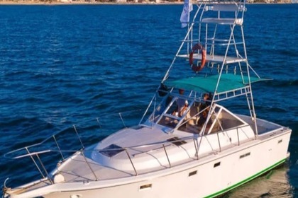 Alquiler Lancha Luhrs 360 Sport Mazatlán