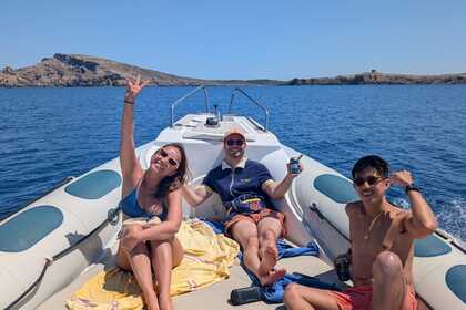 Alquiler Lancha Astec Dayceuiser 800 Fornells