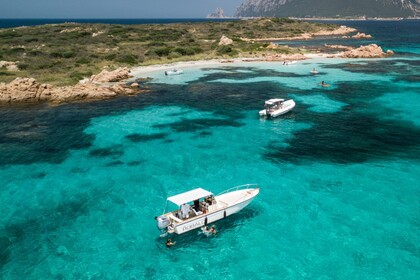 Noleggio Barca a motore Robalo 760 Olbia