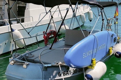 Alquiler Neumática WHALLY 500 Castellón de la Plana