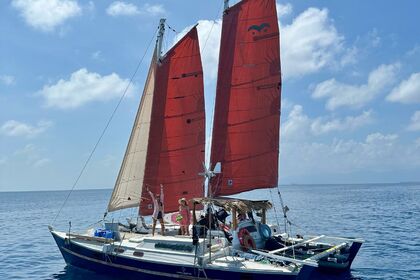 Hire Catamaran Wharram Tiki 38 San Blas Islands