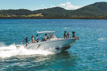 Location Bateau à moteur Beneteau Flyer 9 Space Deck Les Trois-Îlets