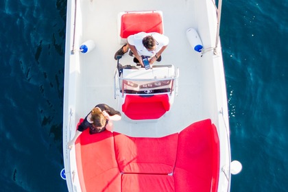 Czarter Łódź motorowa speedy cayman 585 Sorrento