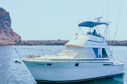 Charter Motorboat Custom 42 Mazatlán