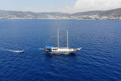 Charter Gulet AREBD-671 24 MT 5 CABINS GULET 1996 Bodrum