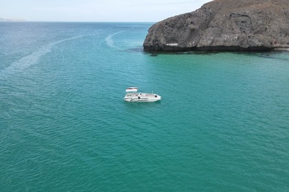 Rental Motorboat Advantage 28 party cat xl La Paz
