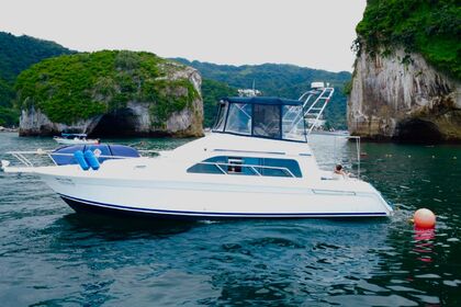 Charter Motorboat Mainship Flybridge Puerto Vallarta