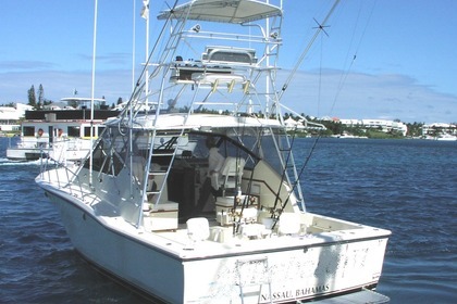 Rental Motorboat Hatteras 38 Nassau