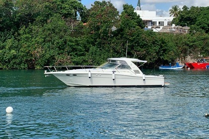 Miete Motorboot Sea Ray Express La Romana