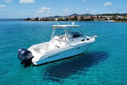 Miete Motorboot Wellcraft Coastal 290 Olbia