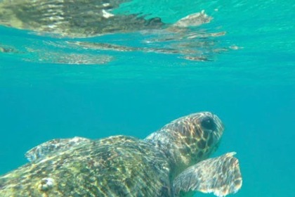 Czarter Łódź bez patentu  Poseidon Blue Water 185 Zakintos