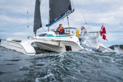 Rental Catamaran  DRAGONFLY 28 Toulon