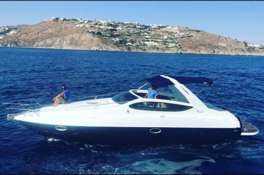 Motorboat Primatist 36 Boat layout