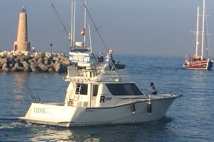 Rental Motor yacht Rodman 12,50 Marbella