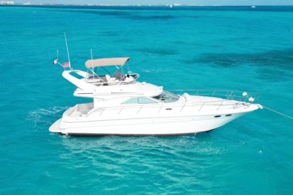 Verhuur Motorboot Sea Ray 340 Sedan Bridge Cancún