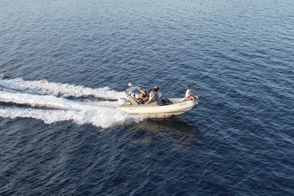 Hire RIB Shark 23 23 Zadar
