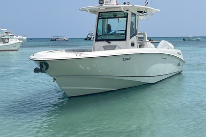 Rental Motorboat Boston Whaler OUTRAGER 32 Bayahibe