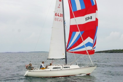 Charter Sailboat Linjettcharter Linjett 30 Norrtälje