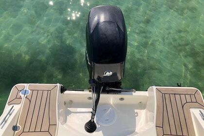 Hire Motorboat Quicksilver Activ Open 455 Überlingen