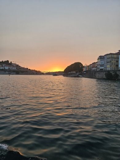 Oporto Motorboat SEA RAY 460sundancer alt tag text