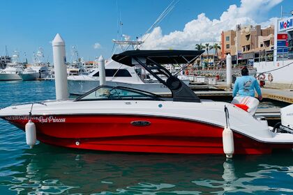 Rental Motorboat Sea Ray 27 ft. Cabo San Lucas