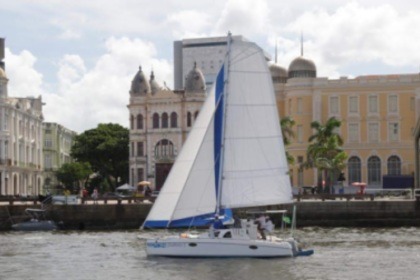 Alquiler Catamarán Frevo Frevo 26 Japaratinga