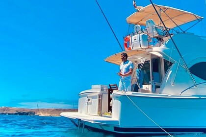 Alquiler Lancha Riviera 33 Flybridge Lanzarote